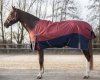Derka padokowa 50g 600D AW 22/23 - QHP 